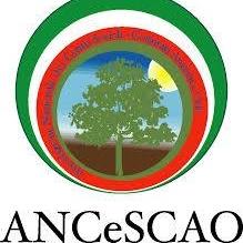 Ancescao